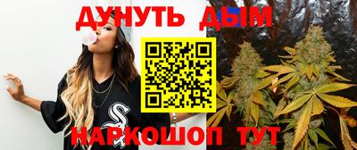 спиды Камень-на-Оби