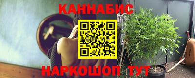 спиды Камень-на-Оби
