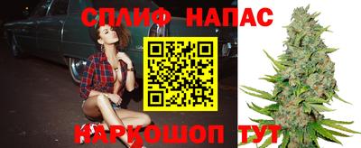спиды Камень-на-Оби