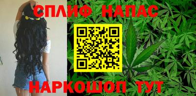 спиды Камень-на-Оби